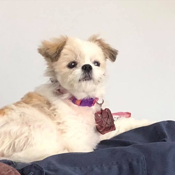 Meet your Posher, Ailsa - Picture 1 of 1